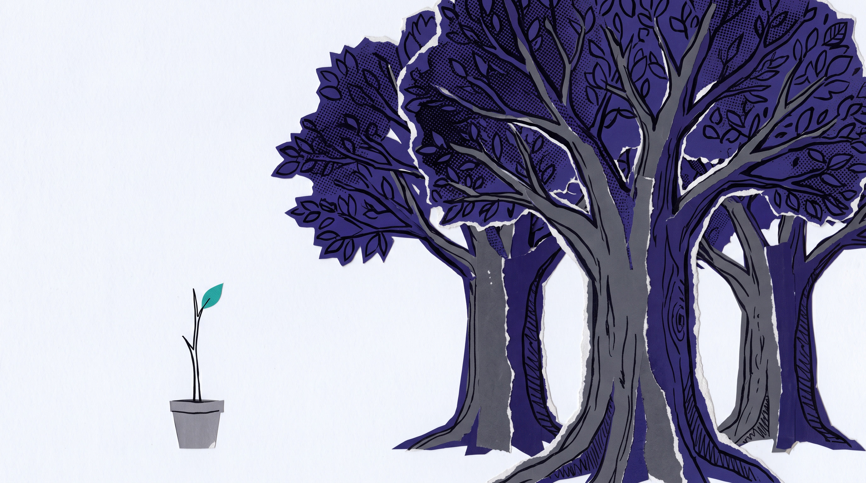 The Global Directory of Development Finance Institutions